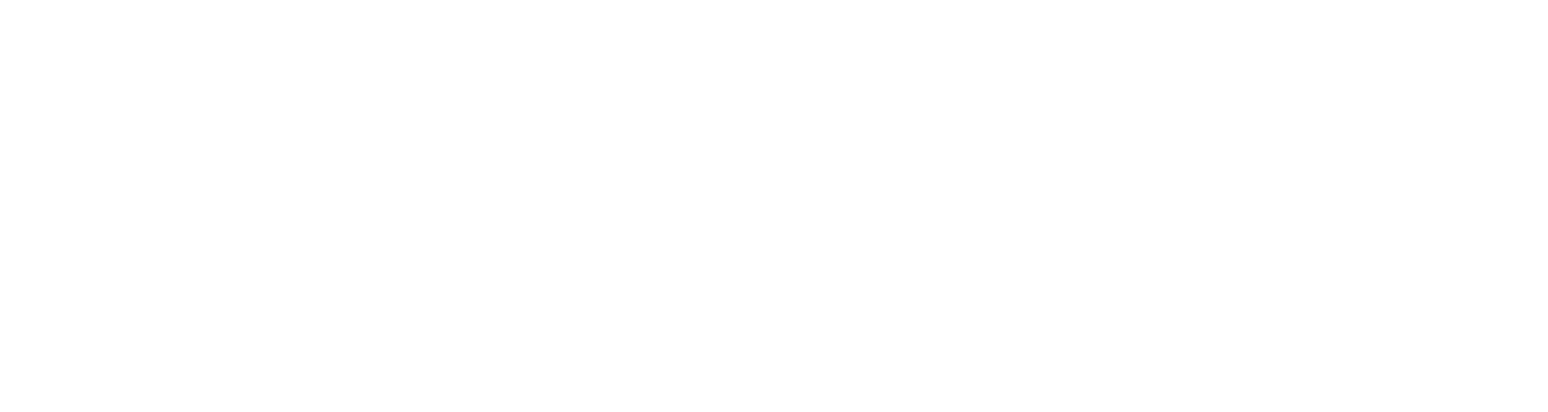 PalmSoft Tecnologia